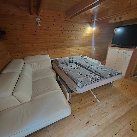 Koca Planika, Sviscaki Villa Ilirska Bistrica Exterior foto