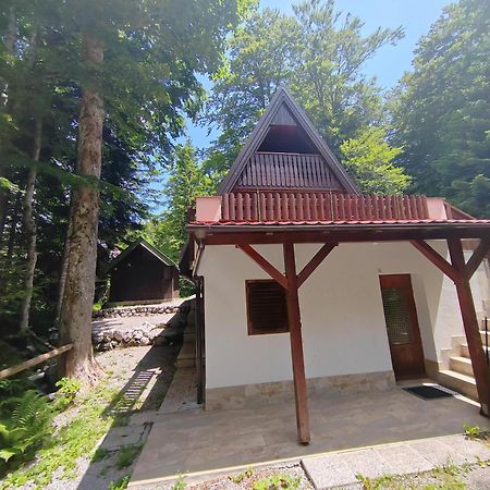 Koca Planika, Sviscaki Villa Ilirska Bistrica Exterior foto