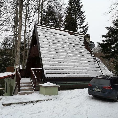 Koca Planika, Sviscaki Villa Ilirska Bistrica Exterior foto