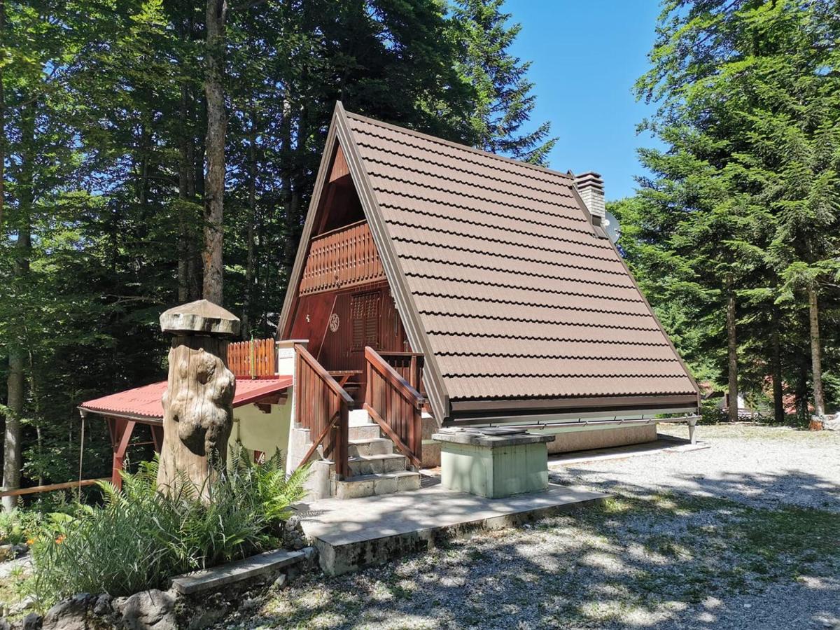 Koca Planika, Sviscaki Villa Ilirska Bistrica Exterior foto