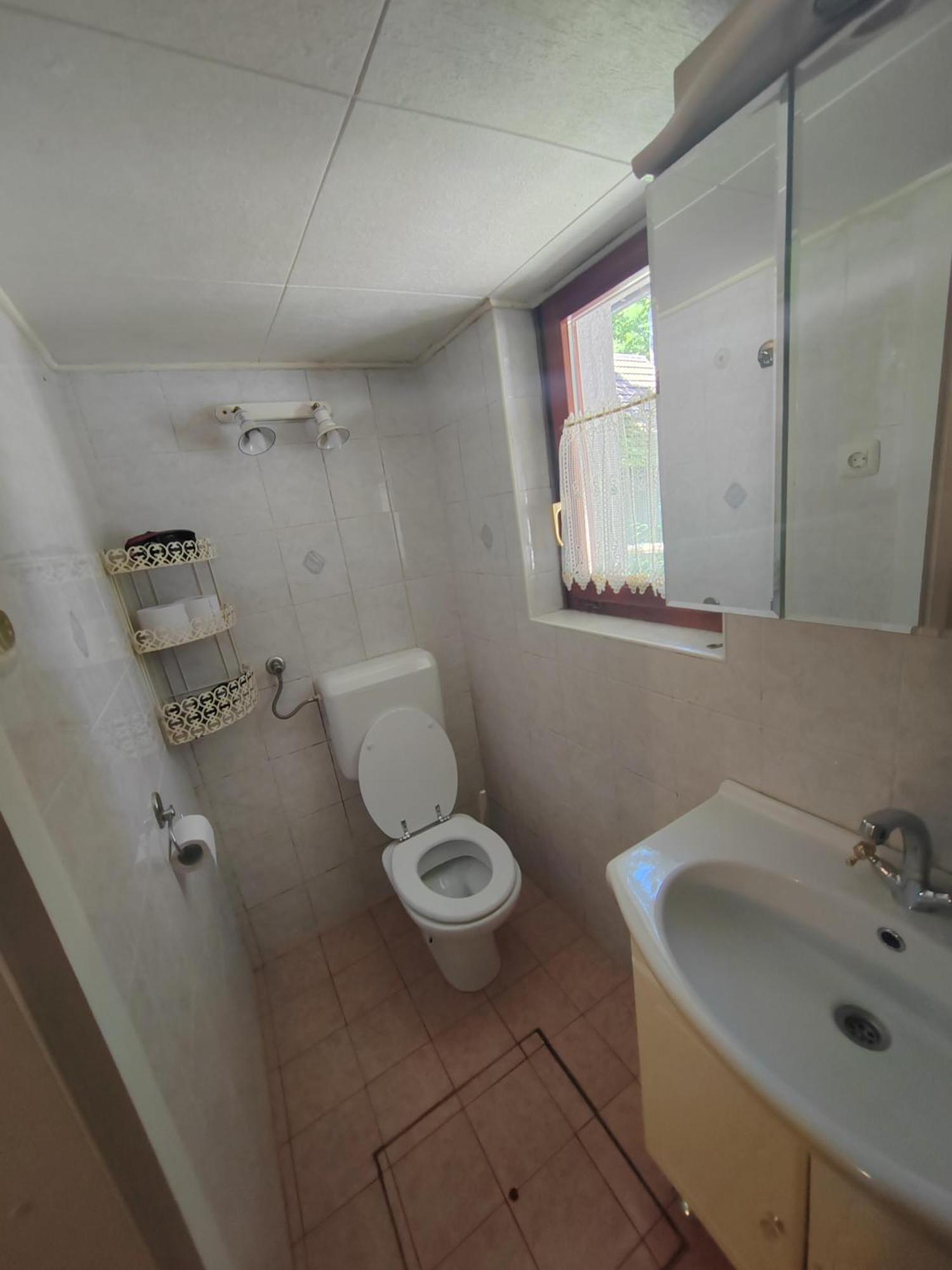 Koca Planika, Sviscaki Villa Ilirska Bistrica Exterior foto