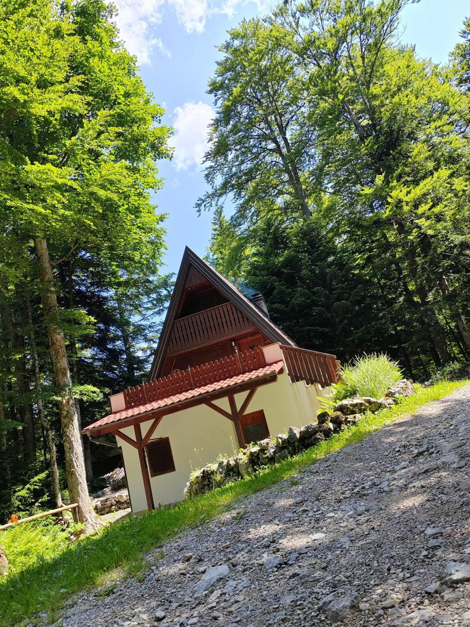 Koca Planika, Sviscaki Villa Ilirska Bistrica Exterior foto